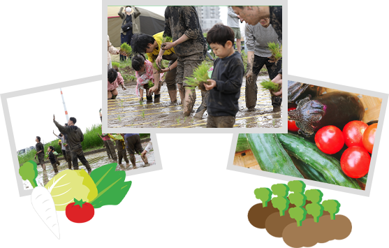 農業体験の様子