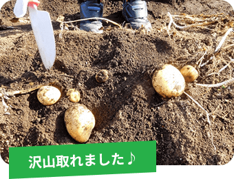 沢山取れました♪